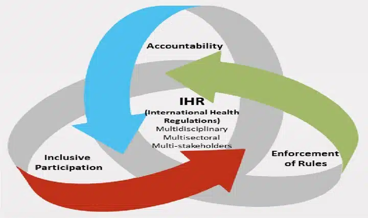 The Legal Framework for Global Health Governance Must Be Strengthened bmjgh 2020 November 5 11 F2.large