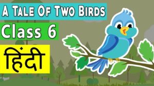 A Tale of Two Birds in Hindi