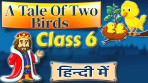 A Tale of Two Birds in Hindi2