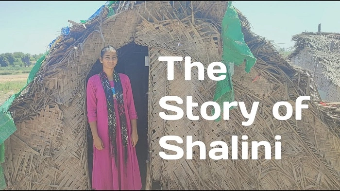 Lessons Learned from Shalinis Story