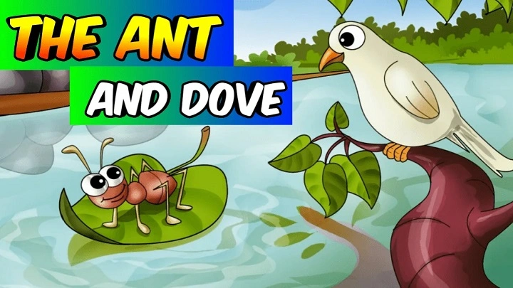 The Dove and the Ant Story – A Sweet Tale About Kindness and Thanks dove and ant story