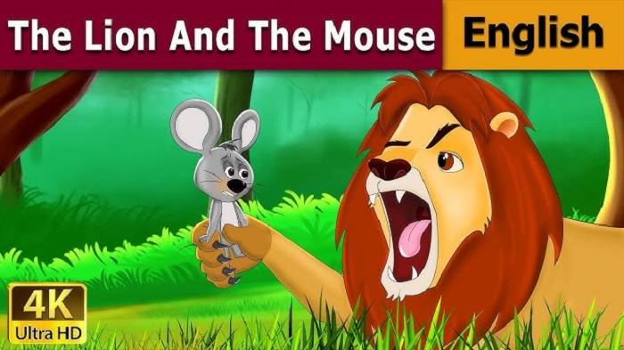 The Lion Learns a Lessons